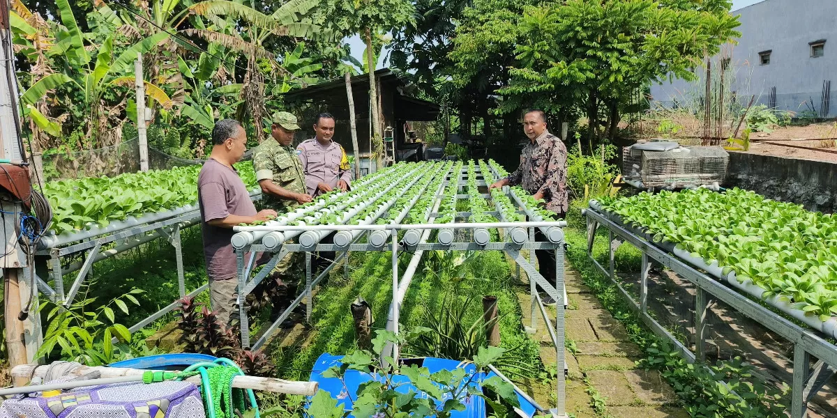 Bhabinkamtibmas Desa Mojotrisno Dorong Pemanfaatan Pekarangan  (Humas Polres Jombang)