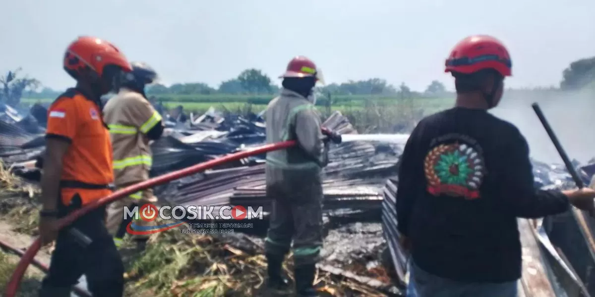 Petugas Damkar Jombang bersama tim gabungan melakukan pemadaman api yang membakar kandang ayam di Desa Tanjunggunung, Peterongan, Jombang (dok.istimewa)