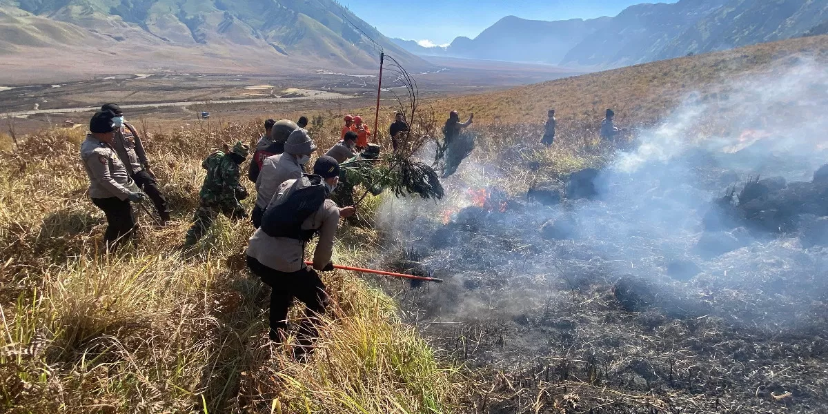 Polres Probolinggo bersama tim gabungan mengerahkan 150 personel untuk memadamkan kebakaran hutan di kawasan TNBTS (Humas Polres Probolinggo)