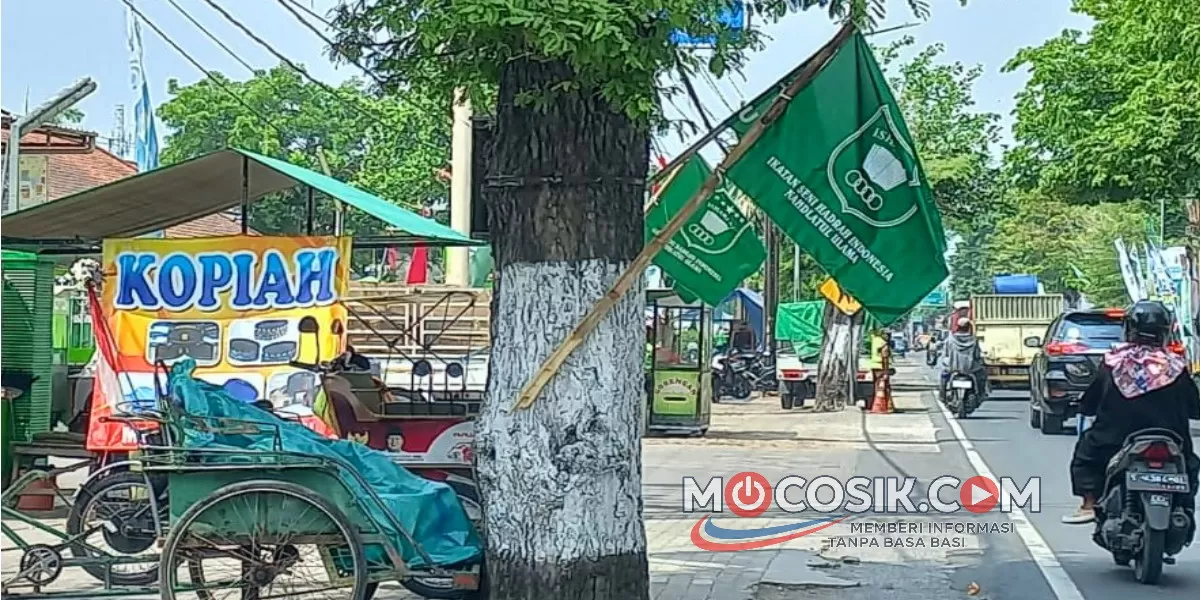 Sejumlah bendera NU dan Banom terpasang dengan cara dipaku pada pohon peneduh di sepanjang ruas jalan menuju lokasi Muktamar ke 35 NU Jombang. (dok.istimewa)