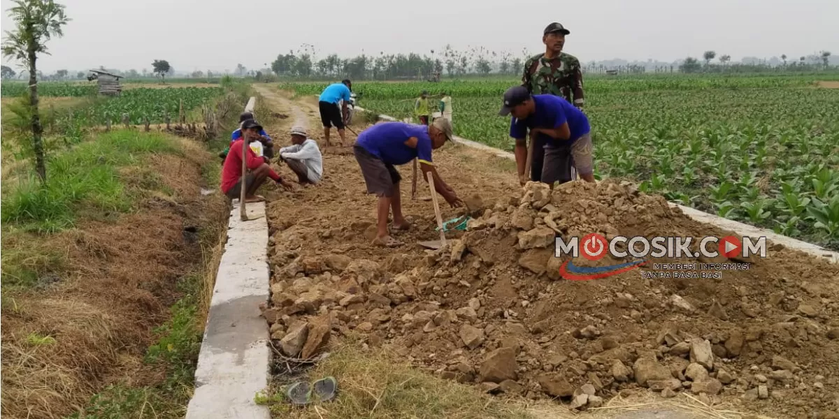 Pengurukan dan perbaikan Jalan Usaha Tani (JUT) yang menjadi akses penting bagi para petani menuju kawasan persawahan di Desa Kampungbaru (Rudiyanto)