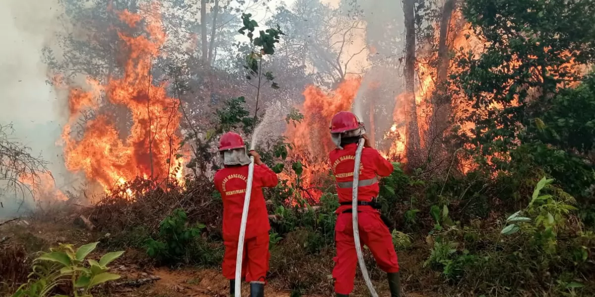 Pemerintah memperkuat penanganan karhutla di enam provinsi prioritas di Sumatera dan Kalimantan melalui operasi satgas darat dan udara (Promedia Teknologi Indonesia)