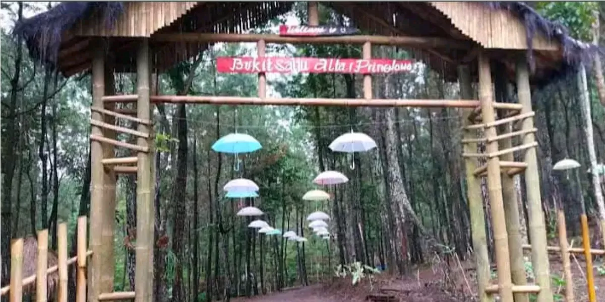 Suasana Bukit Salju Ngetos, Nganjuk, yang menawarkan panorama hutan pinus, spot foto menarik, serta jejak peninggalan sejarah masa kolonial (dok.istimewa)