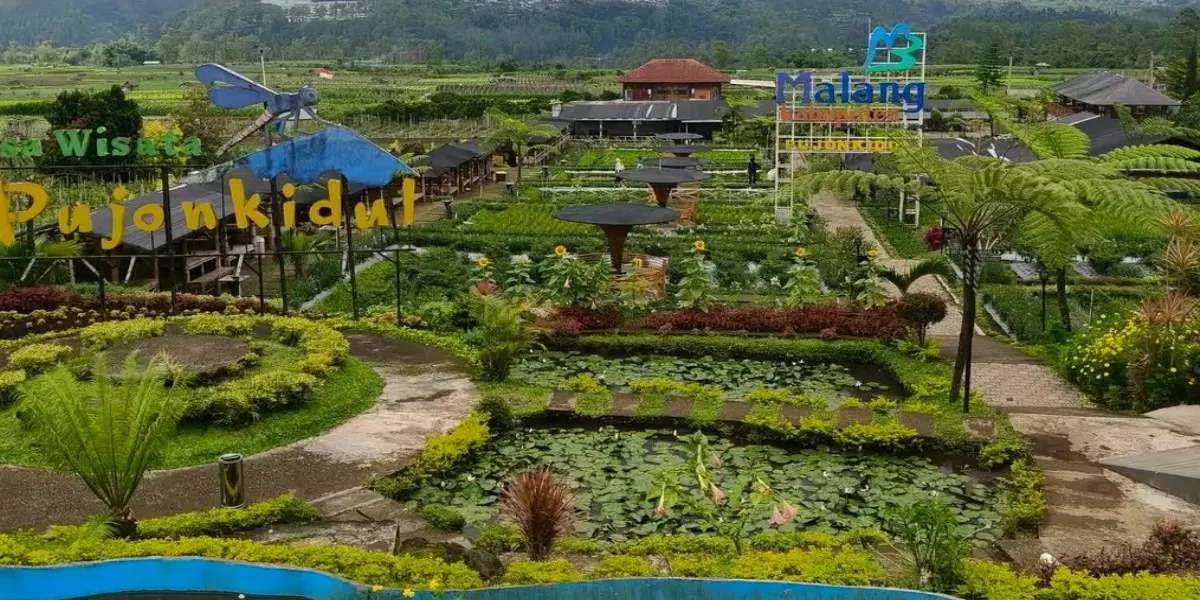 Suasana Cafe Sawah Pujon Kidul di Malang dengan panorama persawahan hijau yang menjadi daya tarik wisata kuliner sekaligus spot foto (dok.istimewa)