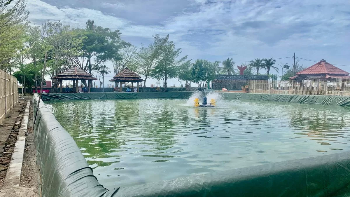Penampakan kolam terpal budidaya nila intensif milik Dinas Perikanan di kawasan Pantai Merpati Bulukumba yang menjadi sarana belajar langsung bagi masyarakat, Sabtu (3/1). (Sulawesinetwork.com)