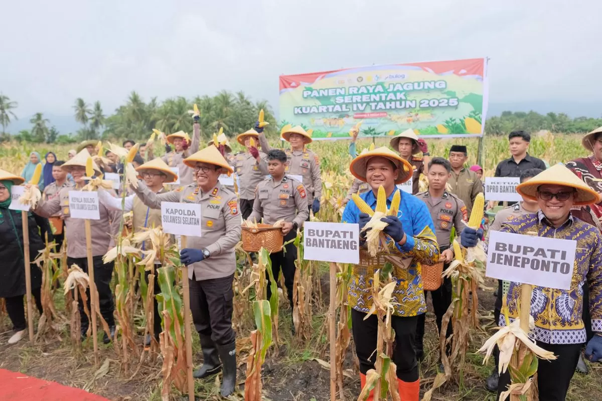 Bupati Bantaeng M Fathul Fauzy Nurdin dampingi Kapolda Sulsel Irjen Pol. Djuhandhani Rahardjo Puro melakukan panen raya jagung.