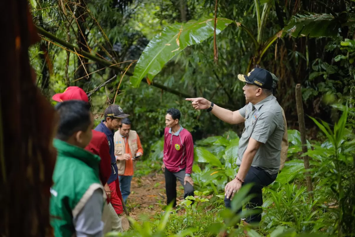 Wakil Bupati Barru Abustan A Bintang meninjau kebun pertanian kopi milik petani.
