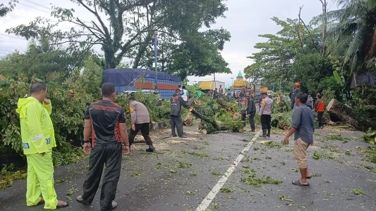 Pemkab Barru bergerak cepat tangani dampak bencana angin kencang.