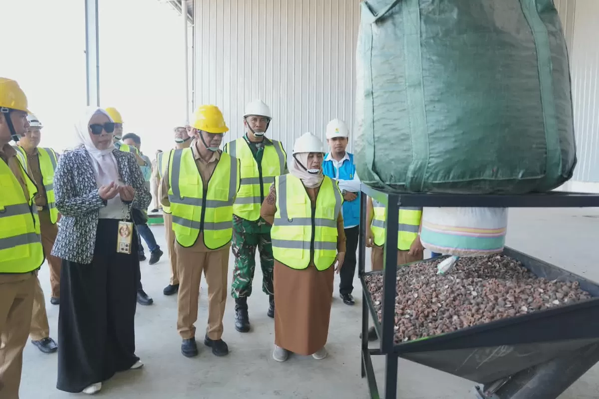 Bupati Sinjai Hj Ratnawati Arif kunjungi pabrik porang.