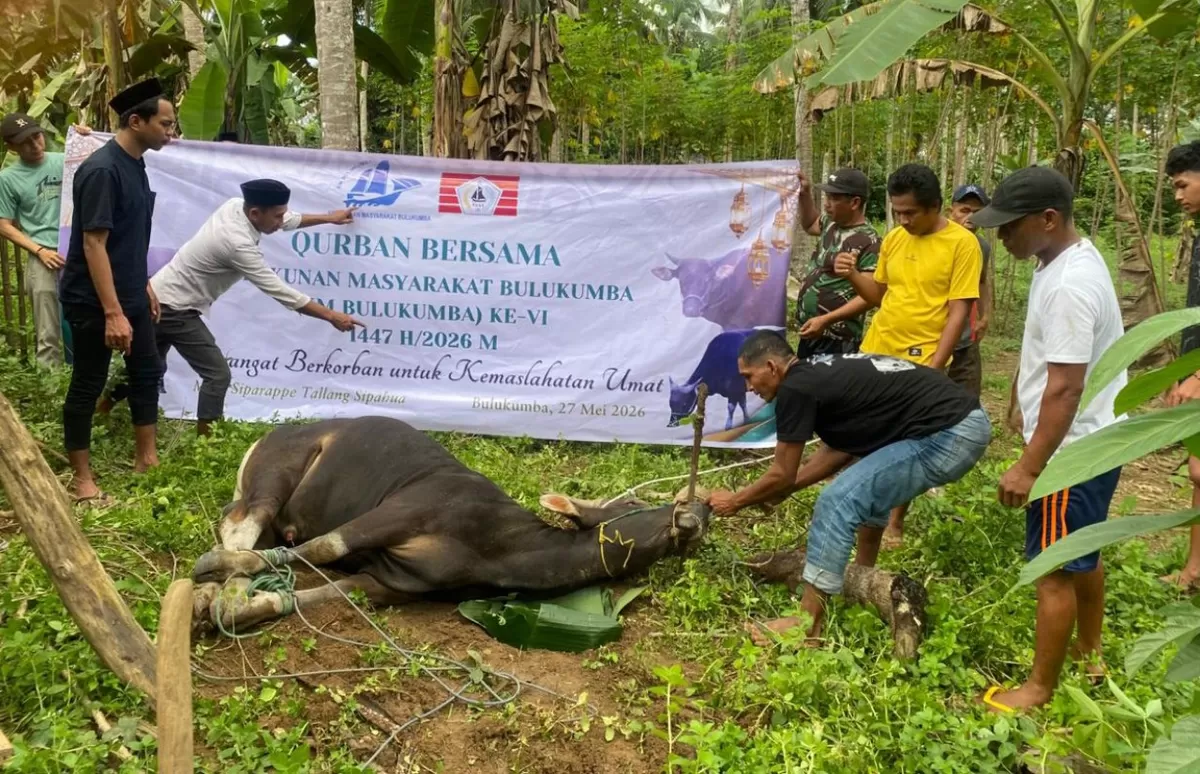 Bupati Bulukumba, Andi Muchtar Ali Yusuf (Andi Utta), menyampaikan rasa bangga dan apresiasinya atas konsistensi program Qurban Bersama ke-VI yang digelar oleh Kerukunan Masyarakat Bulukumba (KM Bulukumba) pada momentum Iduladha 1447 H. (Foto: Dok. Humas/Istimewa)