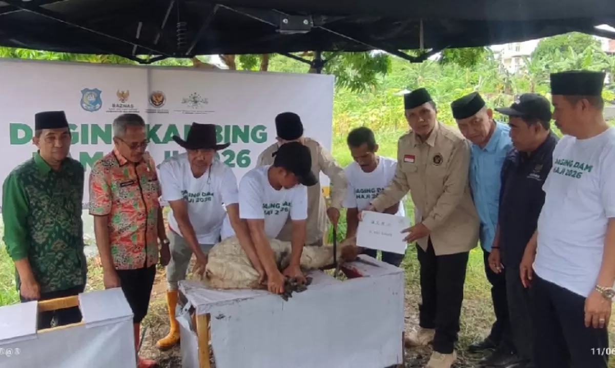 BAZNAS Bulukumba sembelih 129 Ekor Kambing DAM Jamaah Haji.