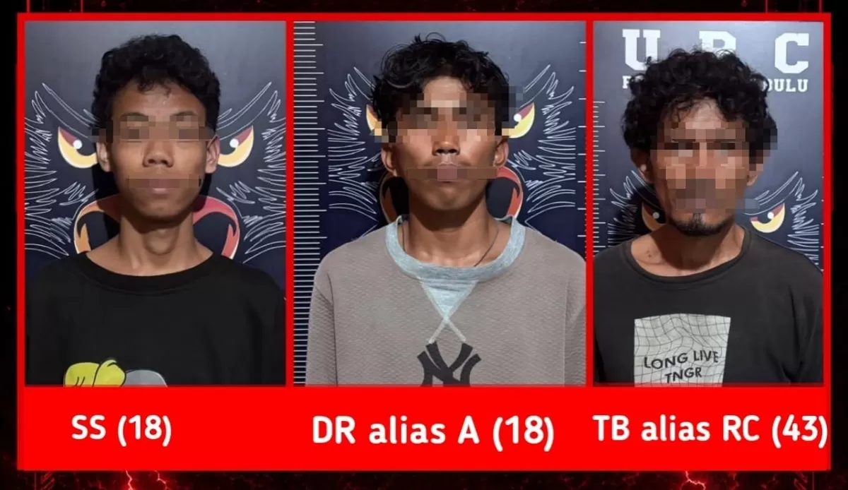 Kolase foto pelaku pencurian dan pembakaran.