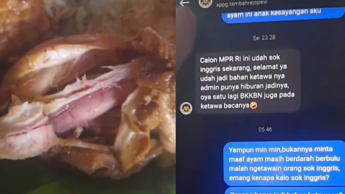Viral balasan admin SPPG Tambahrejo Pringsewu, Lampung yang menertawakan komplain MBG. (TikTok /devianindia97)