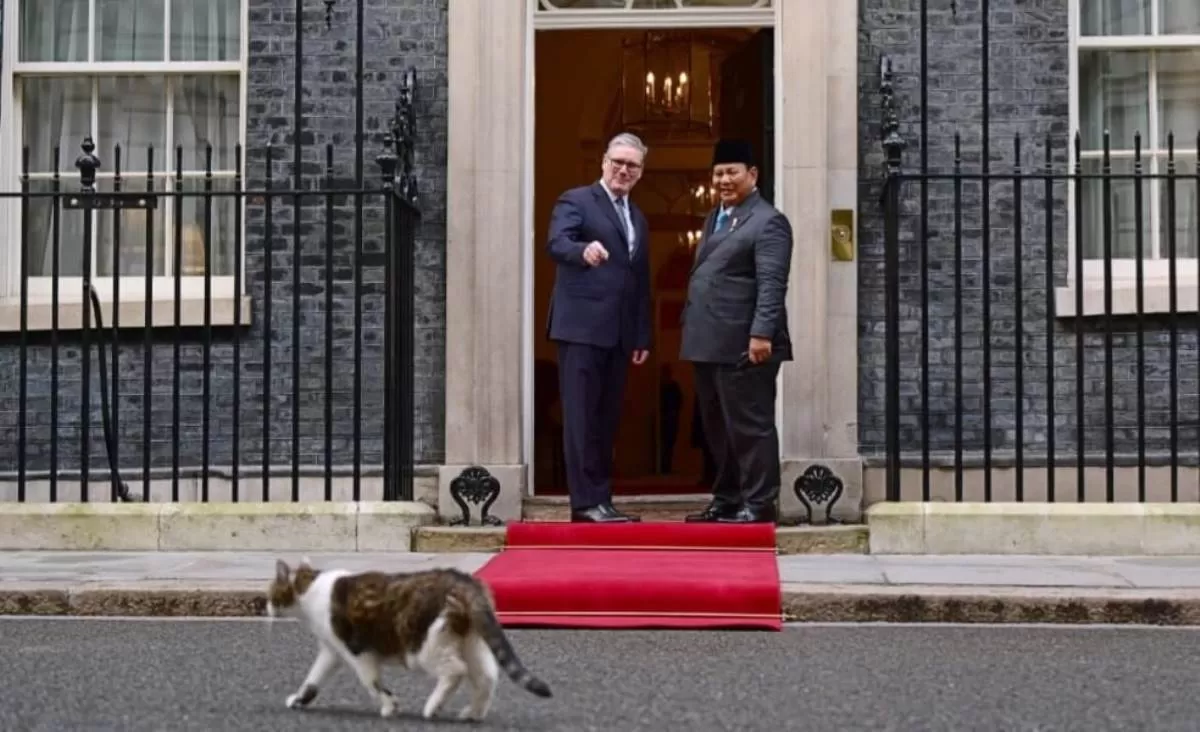 Perdana Menteri (PM) Inggris Keir Starmer mengenalkan Larry the Cat, Chief Mouser to the Cabinet Office sejak 2011 kepada Presiden Prabowo Subianto saat melakukan pertemuan di Kantor PM Inggris, Downing Street, London, pada Selasa, 20 Januari 2026. Foto: Ist.