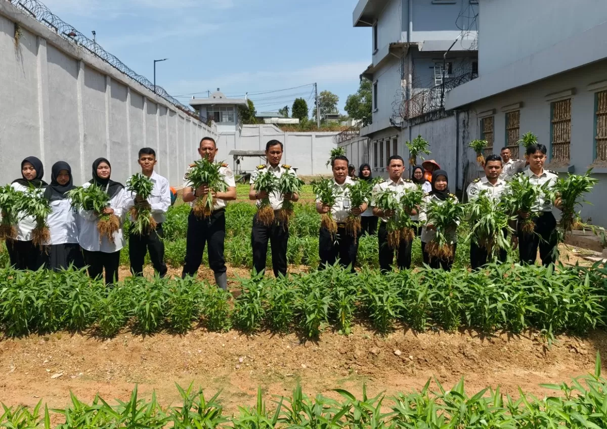 Lapas Batam Panen 150 Kg Kangkung, Dukung Program Ketahanan Pangan Nasional