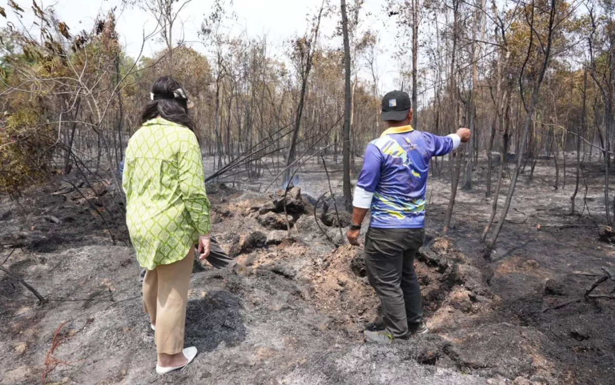 Kebakaran Hutan Lindung di Waduk Nongsa Batam, 3,85 Hektare Lahan Terbakar