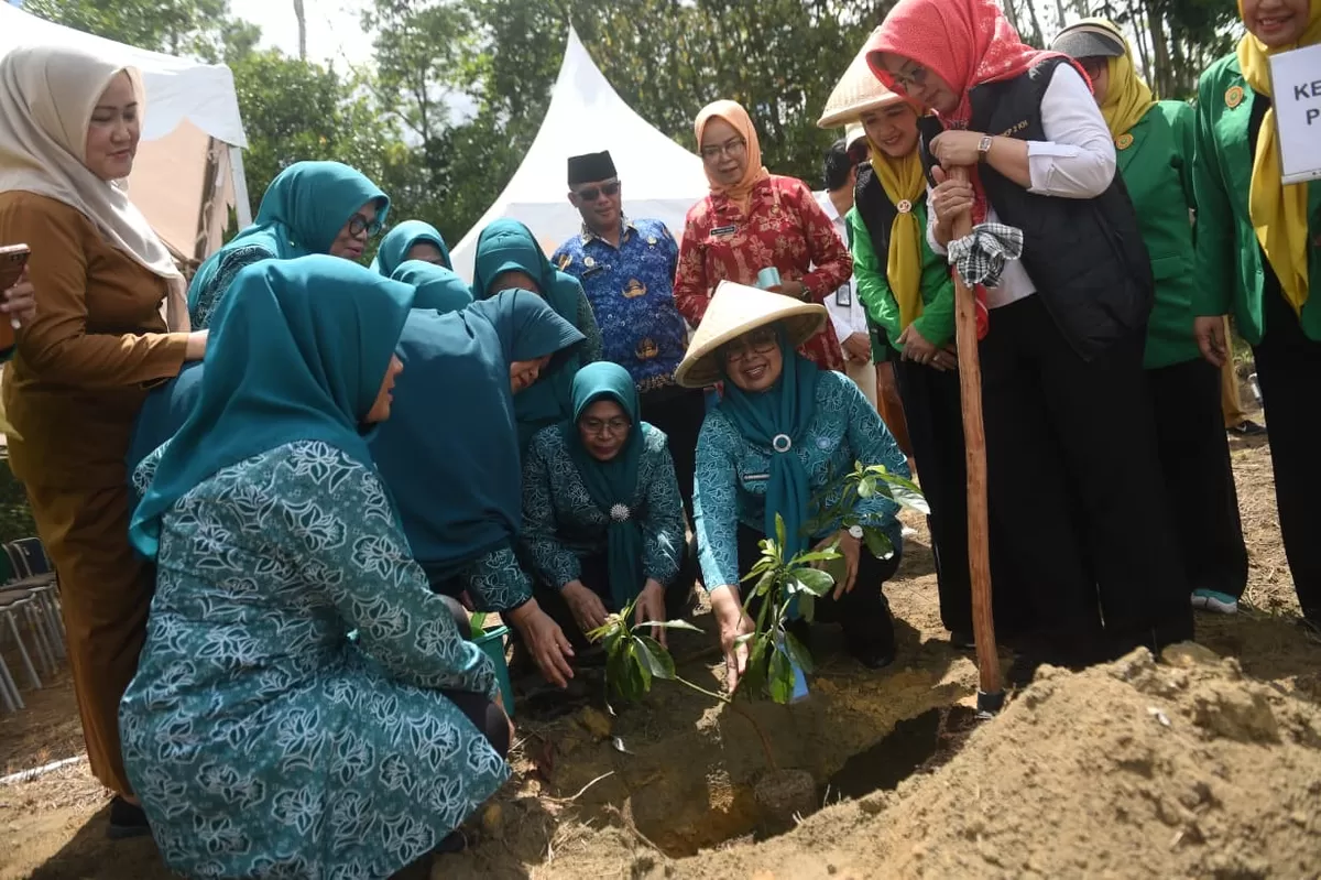 Ketua TP PKK Provinsi Kepri Dewi Kumalasari Ansar menanam cabai usai menyerahkan bantuan bibit cabai dalam rangka ketahanan pangan.(Foto:Diskominfo Kepri)
