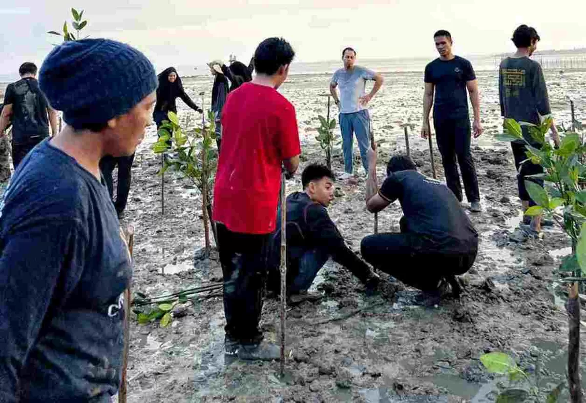 Salah satu kegiatan pelajar Singapura di Pulau Penyengat melakukan penanaman bibit mangrove. (Foto:Diskominfo Tanjungpinang)  