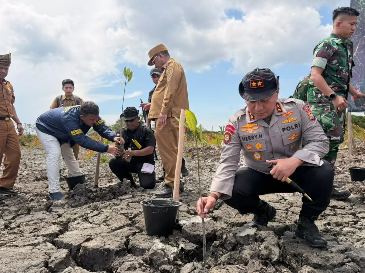 Kapolda Riau Irjen Pol Herry Heryawan turun langsung memimpin aksi penanaman kembali (replanting). (MD Riau.)