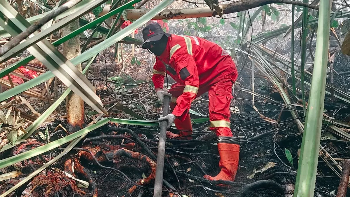 Tim gabungan yang terlibat terdiri dari Manggala Agni, TNI, Polri, BPBD, BBKSDA, Tim RPK perusahaan serta masyarakat. (Foto Ist)