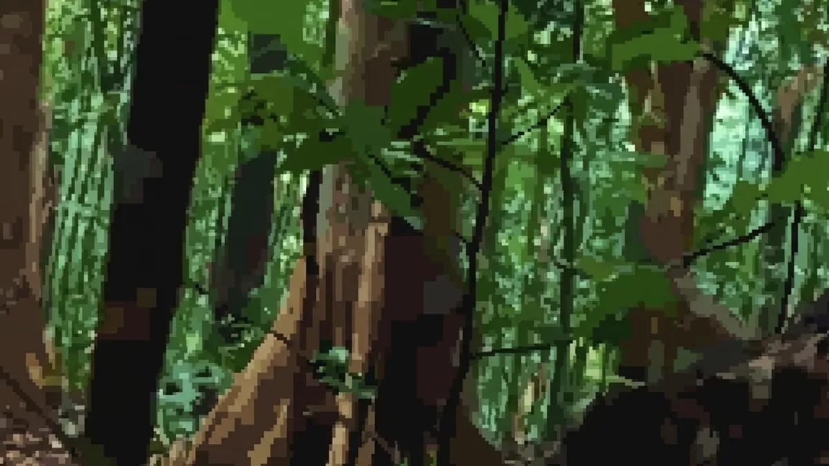 Lokasi hutan tempat warga berburu buah Payang (Kampak) tak jauh dari Bandara Letung (Ropi Kahardi)