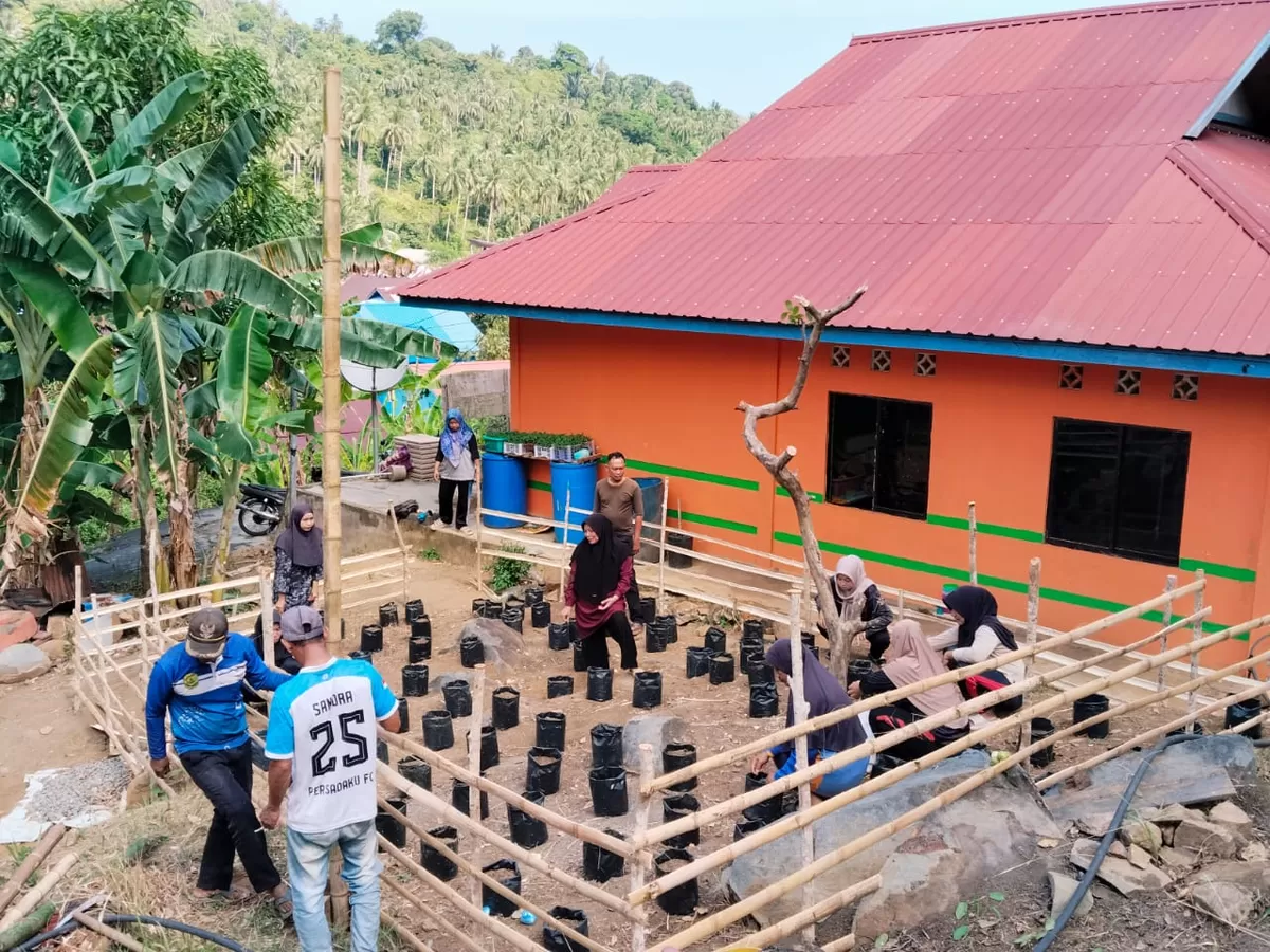 Pemerintah Desa Rewak, Kecamatan Jemaja, Kabupaten Kepulauan Anambas mulai melakukan persiapan untuk mengikuti Lomba Tanam Serentak Bibit Cabai Tingkat Provinsi Kepulauan Riau, Selasa, 18 Agustus 2026. (Ropi Kahardi )