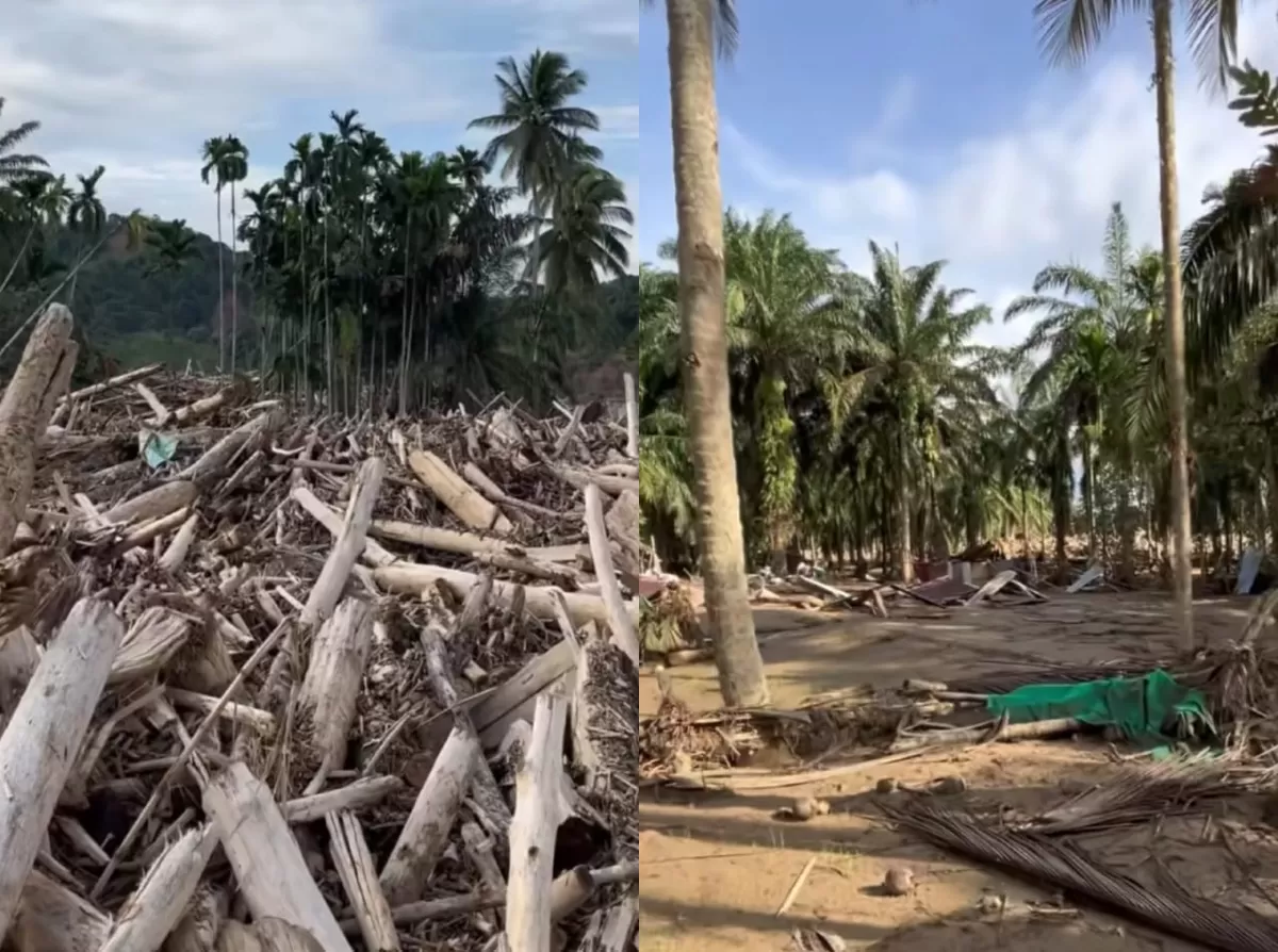 Kondisi Aceh Tamiang yang masih dipenuhi dengan tumpukan kayu pascabanjir bandang. (Dok. Instagram/si.braay)