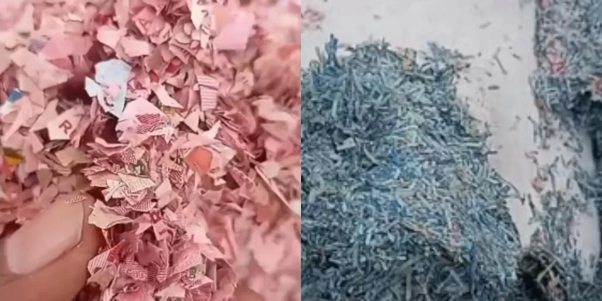 Menyoroti viralnya cacahan kertas yang diduga potongan uang asli di TPS Bekasi, Jawa Barat. (Dok. Instagram.com/@sahabatpedulilingkungan)