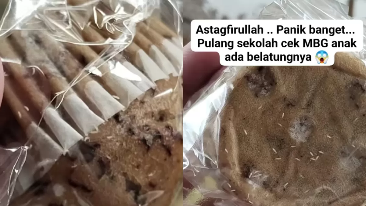 Viral roti di menu MBG yang banyak ditemukan belatung. (Dok. Instagram/mia029)