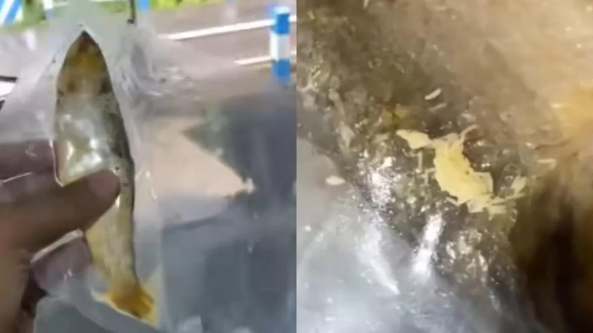 Temuan belatung pada bandeng presto MBG di Ngrayun, Ponorogo. (Dok. TikTok/pengawas.99)