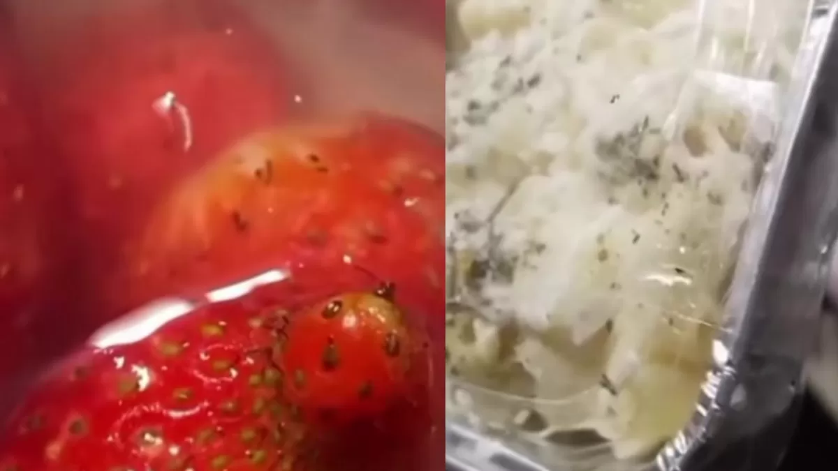 MBG SPPG Lowokwaru Tulusrejo 2 Kota Malang yang terdapat belatung hidup di menu yang dibagikan. (Dok. Instagram/info_malang)