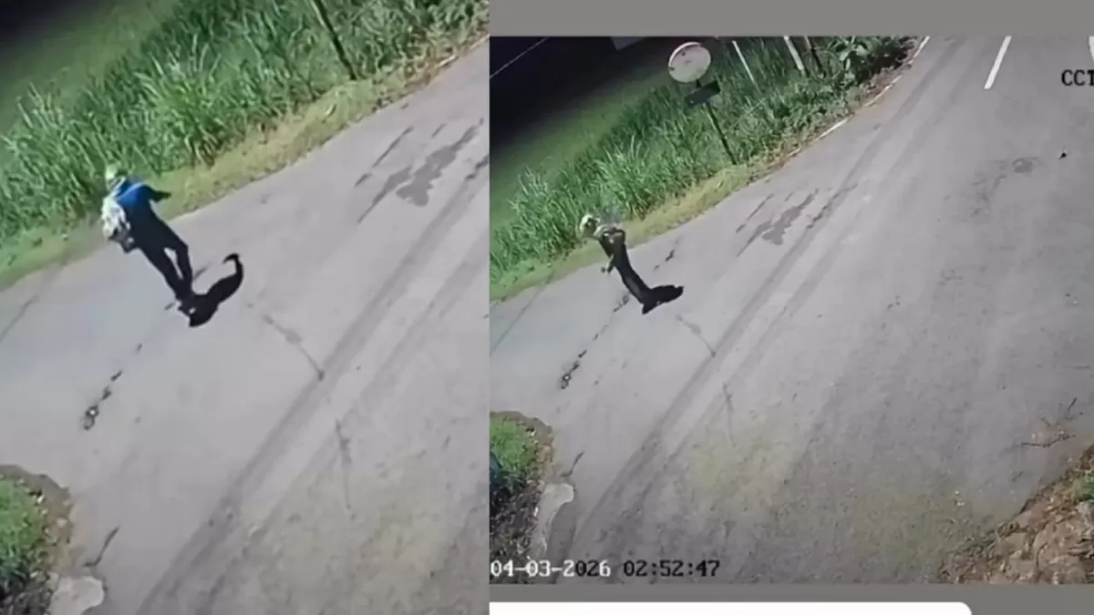 Viral Aksi mencurigakan warga saat dini hari di Jalan Imogiri, Bantul, Yogyakarta. (Dok. Instagram/merapi_uncover)