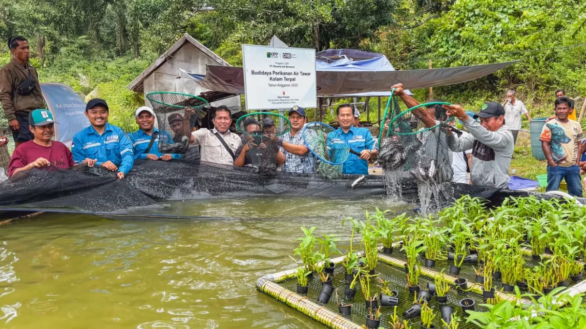 PSN di Pulau Penebang turut andil dalam pertumbuhan ekonomi di Kabupaten Kayong Utara. (Dok. Kabupaten Kayong Utara)