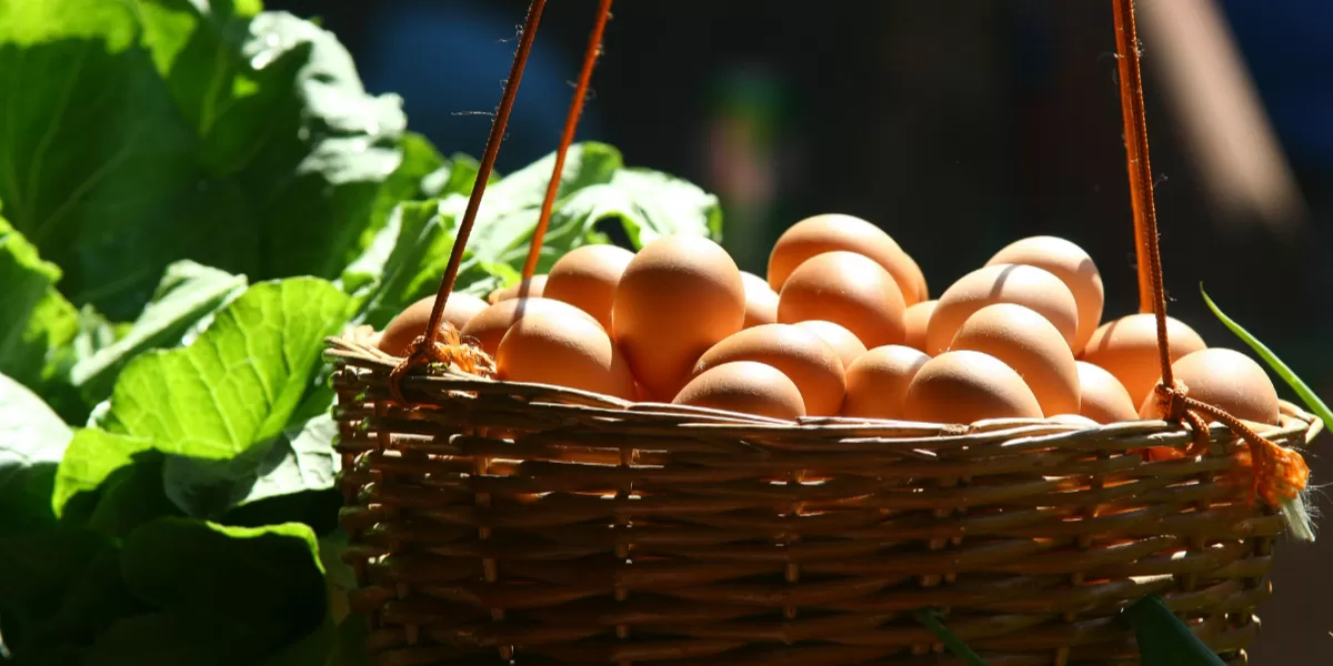 Jangan simpan telur dalam satu keranjang saja, istilah itu sangat akrab di dunia investasi. Jika kamu mulai investasi, jangan hanya di satu jenis misalnya kripto saja, cobalah juga di Reksa Dana atau Saham. (Pexels @Rodolfo Clix)
