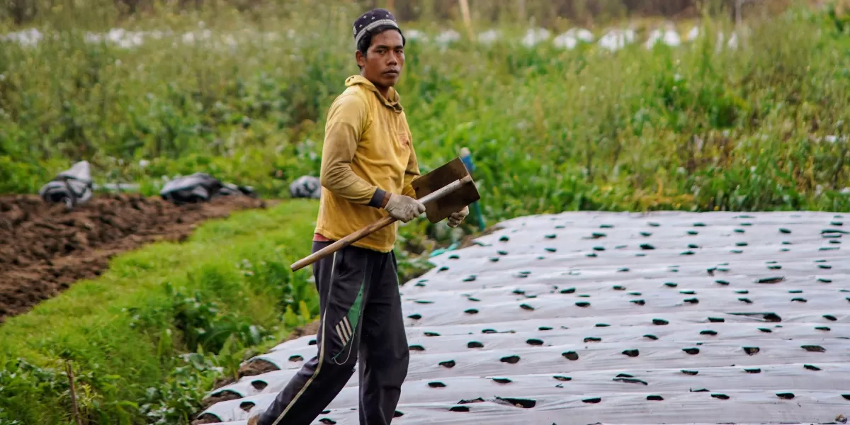 Foto ilustrasi, seorang petani di Jawa Tengah mengolah lahan di tengah ancaman el nino.  (Pexels/Ruyat Supriazi)