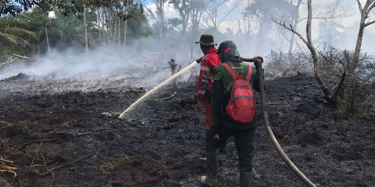 Tim gabungan melakukan upaya pemadaman kebakaran hutan dan lahan di Desa Rasau Jaya Umum, Kabupaten Kubu Raya, Jumat (26/6/2026). Titik api dilaporkan bergeser mendekati kawasan permukiman warga. (Dok. Brigade Dalkarhutla KPH Wilayah Kubu Raya)