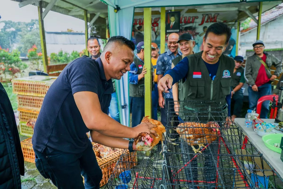 Jenal Mutaqin Bagikan Ayam Petelur, Ikhtiar Dorong Pertumbuhan Ekonomi Warga (Dims / jurnalmetropolitan.com)