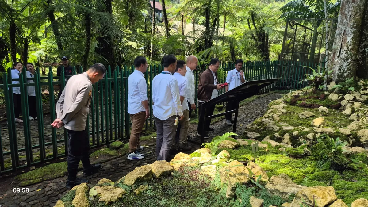 Taman Lumut Terbesar di Indonesia Direvitalisasi, Ini Wajah Baru Kebun Raya Cibodas di Usia 174 Tahun (dims / jurnalmetropolitan.com)