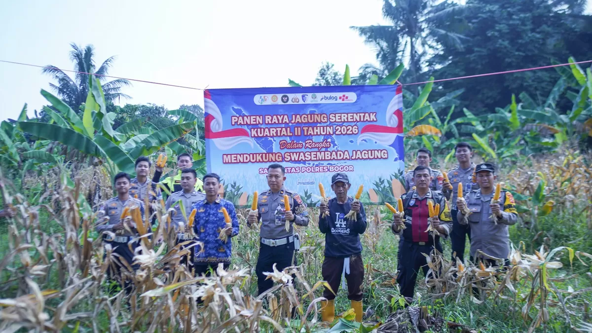 Dukung Swasembada Pangan, Sat Lantas Polres Bogor Panen Jagung Bersama Warga (Dims / jurnalmetropolitan.com)