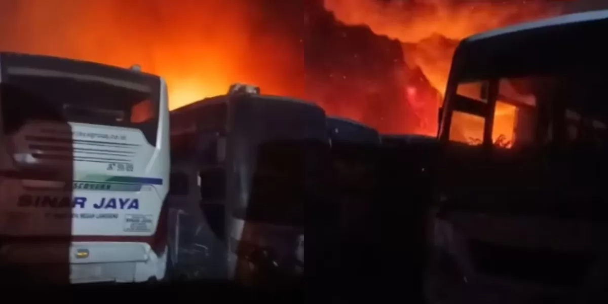 Menyoroti insiden kebakaran besar yang terjadi pada pangkalan PO Sinar Jaya di Bekasi, Jawa Barat. Berikut ini kronologinya. (Instagram.com/@mekarhuripnursery)