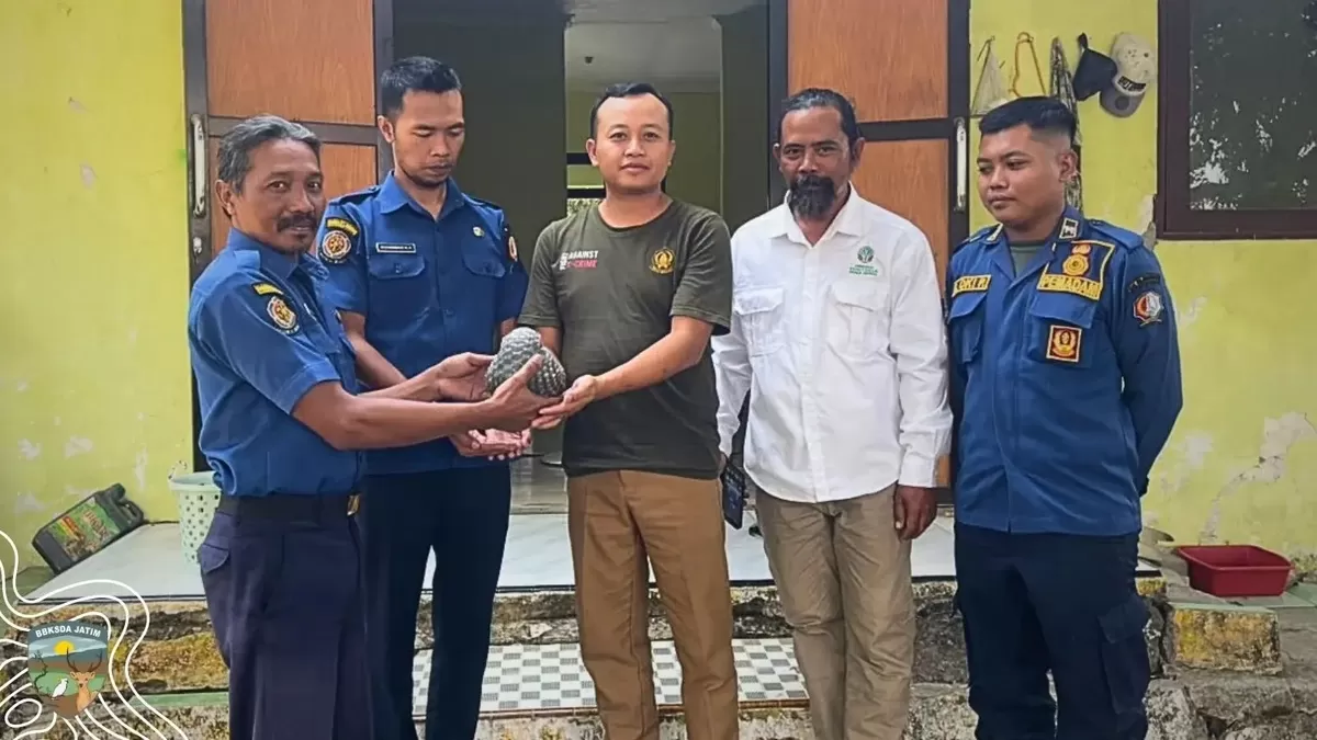 Warga Bojonegoro Peduli Satwa Liar, Serahkan Trenggiling ke BBKSDA Jatim