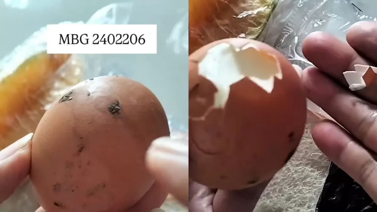 Viral MBG di Magetan, menu telur rebus masih banyak kotoran ayam di kulitnya. (Instagram/twinarsih20)