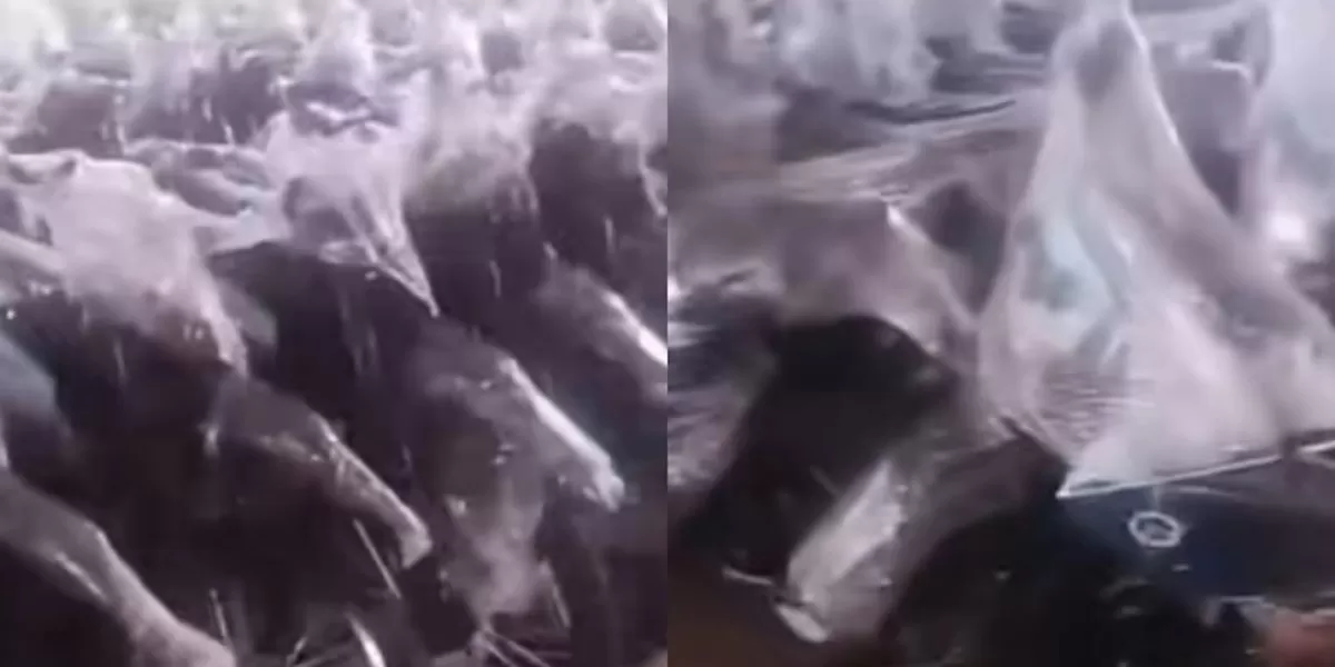 Kejagung mengizinkan distribusi 17.600 motor listrik BGN tetap berjalan karena hanya disegel, bukan disita sebagai barang bukti.&nbsp; (Istimewa )