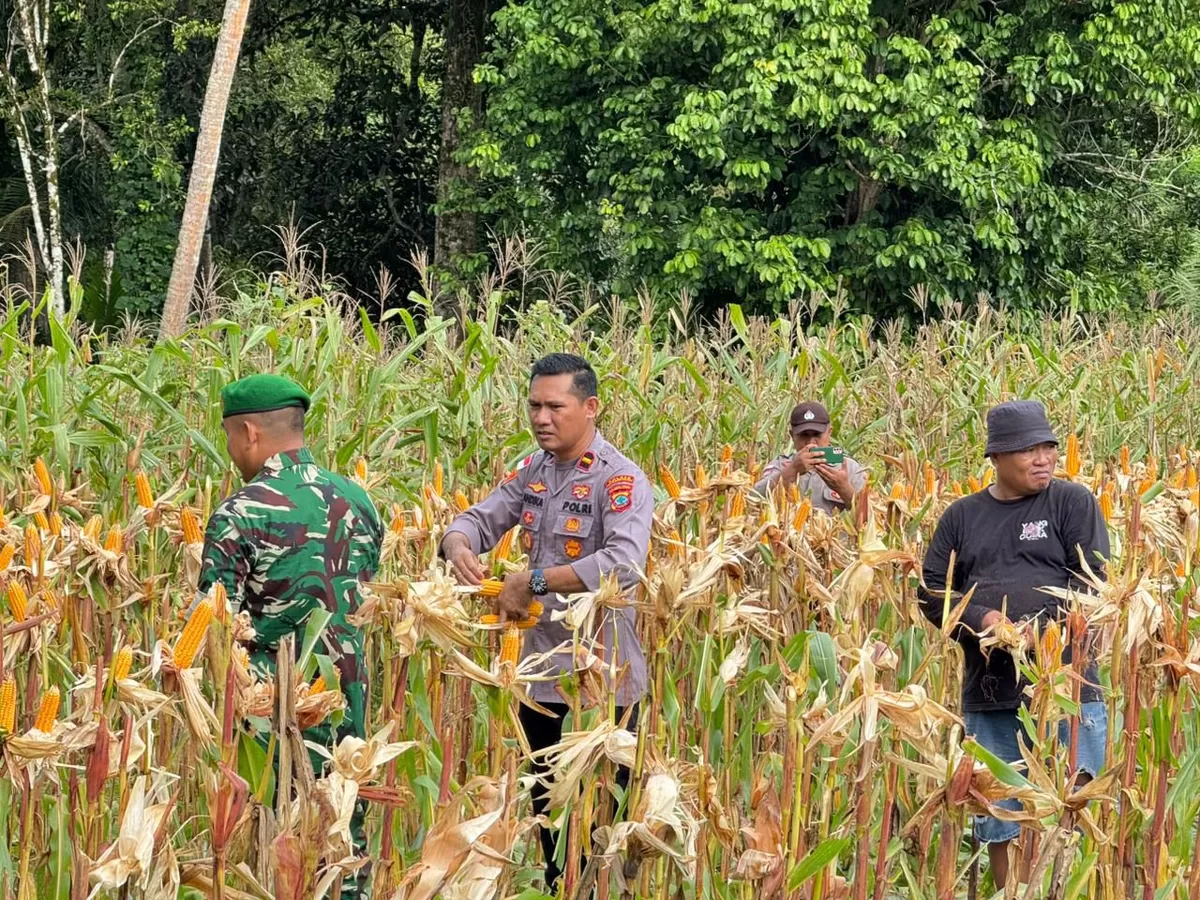 Istimewa (Humas Polres Kepulauan Talaud)