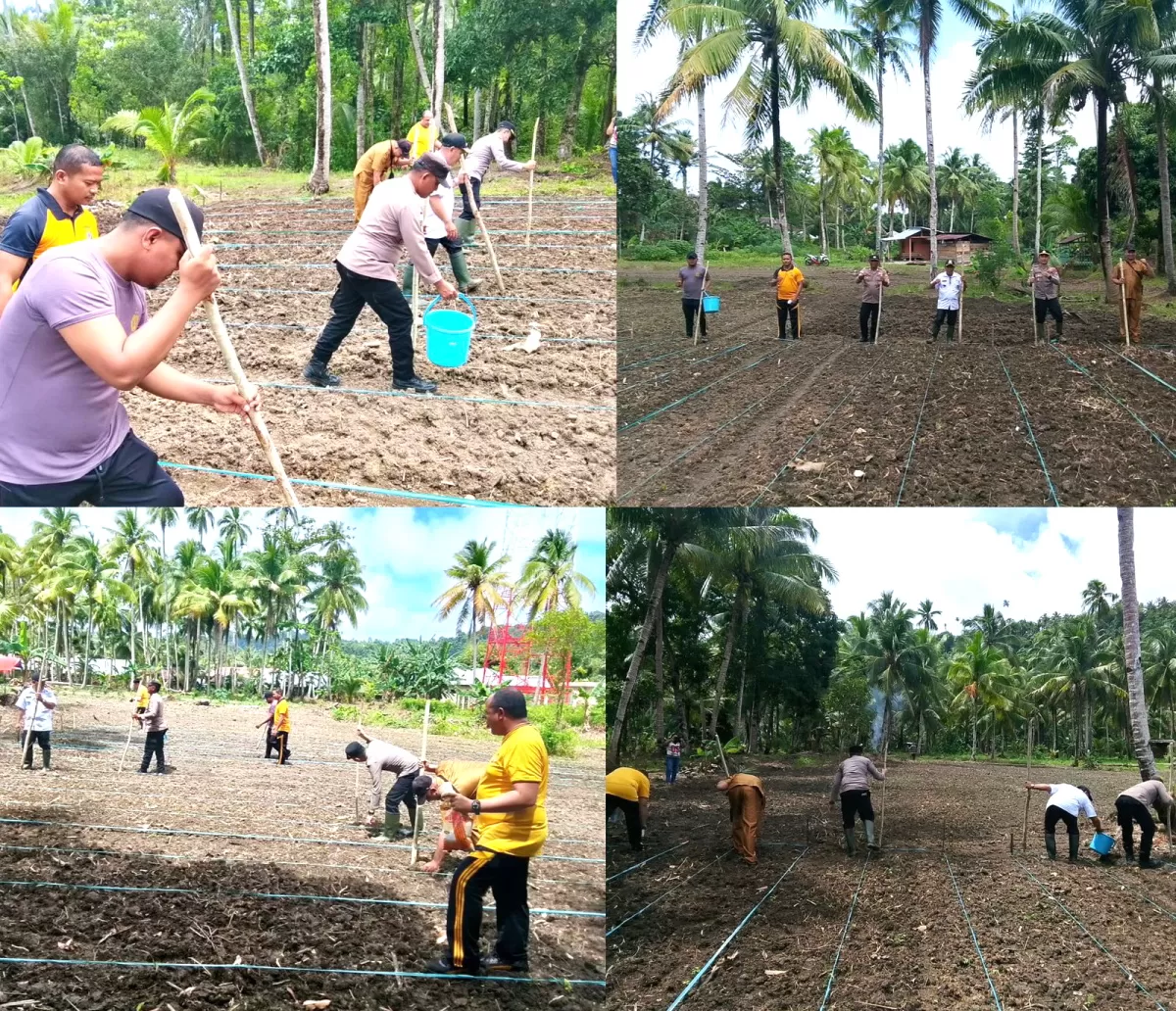 Istimewa (Humas Polres Kepulauan Talaud)