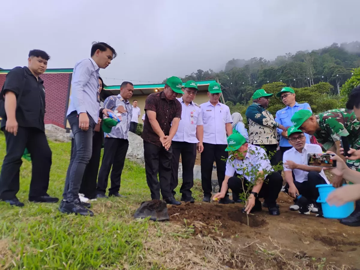 Tomohon Menanam, Aksi Tanam Pohon Pemkot Tomohon dan DPD RI. (istimewa) 