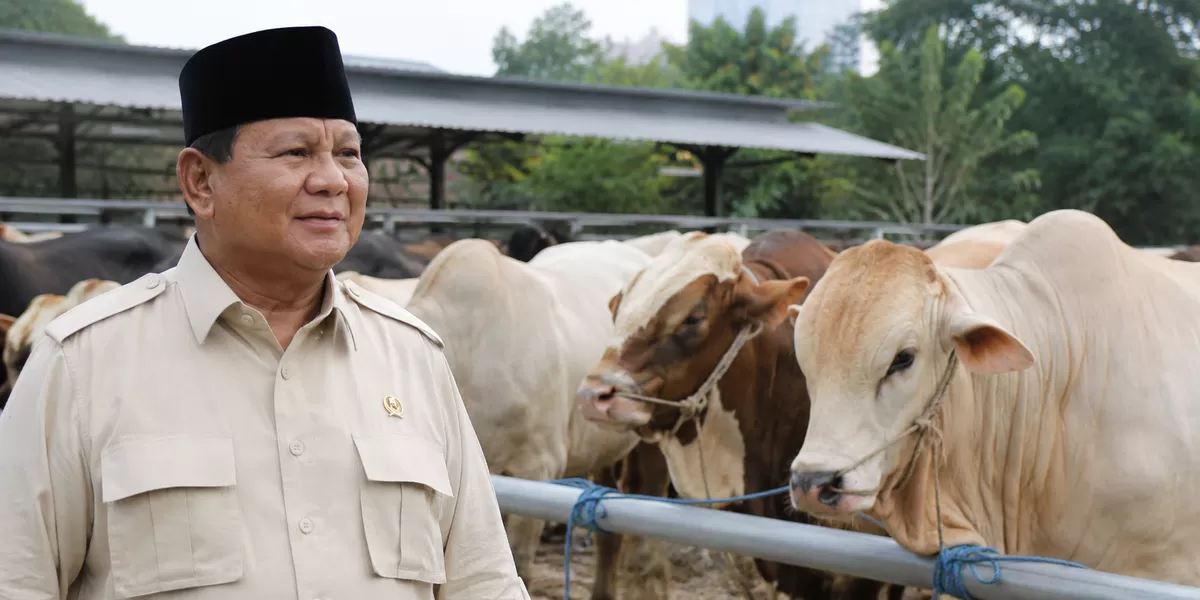 Prabowo Beri Bantuan 1098 Sapi Kurban Dari APBN (Marlon/AI/Sulutzone)