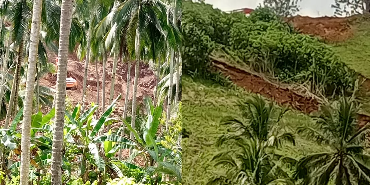 Lokasi yang Diduga Pertambangan Emas Ilegal di Oboy Atas (Dok. Istimewa)