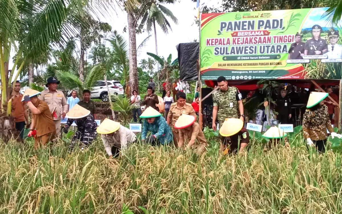 Kepala Kejaksaan Tinggi (Kajati) Sulawesi Utara, Jacob Hendrik Pattipeilohy, S.H., M.H didampingi Ketua IAD Ny. Yulis Hendrik Pattipeilohy Pimpin Aksi tanam massal di Desa Ambela yang di hadiri langsung Bupati Kepulauan Talaud, Welly Titah, Kepala Kejaksaan Negeri (Kajari) Kepulauan Talaud, Edwin I. (Nelson Sangadi)