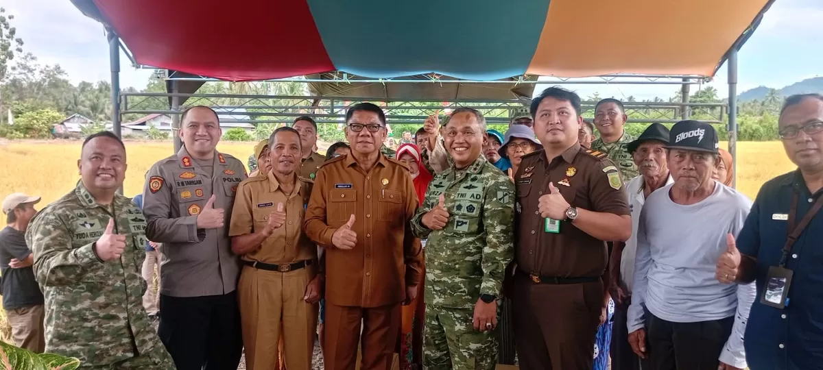 Pangdam XIII/Mdk gelar Panen Raya di Bolmong (Dok. Istimewa)